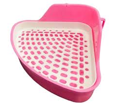 سینی خرگوشی بزرگ